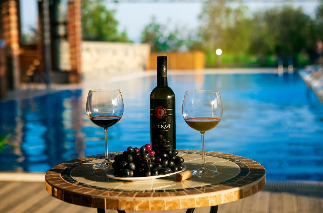 Hotel Twins Wine House Napareuli Exteriér fotografie