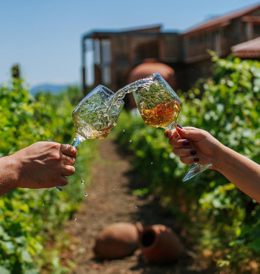 Hotel Twins Wine House Napareuli Exteriér fotografie