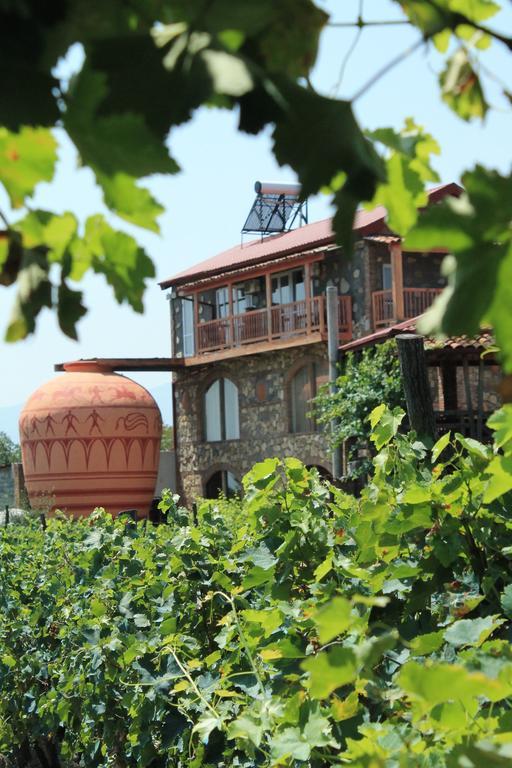 Hotel Twins Wine House Napareuli Exteriér fotografie