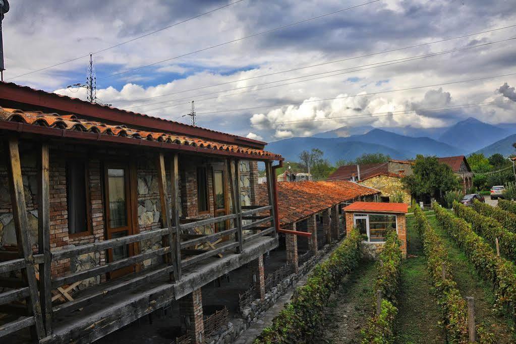 Hotel Twins Wine House Napareuli Exteriér fotografie