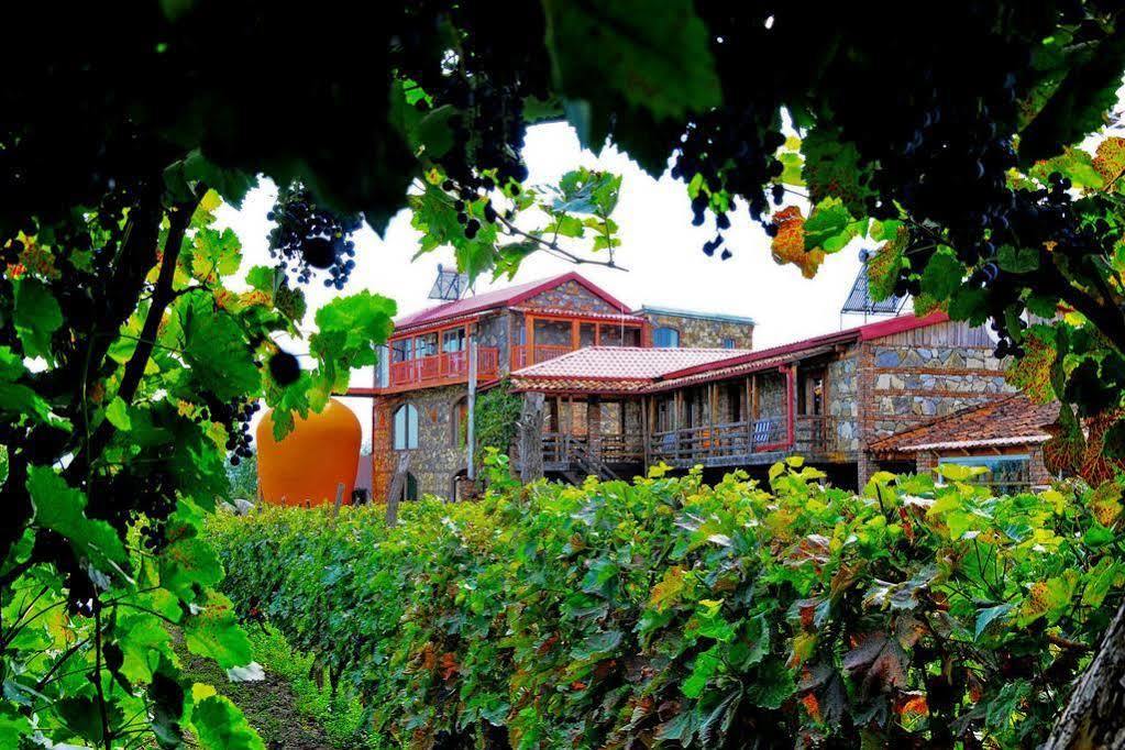 Hotel Twins Wine House Napareuli Exteriér fotografie
