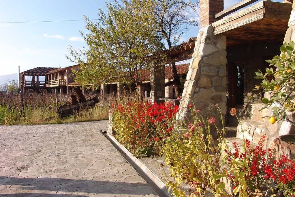 Hotel Twins Wine House Napareuli Exteriér fotografie